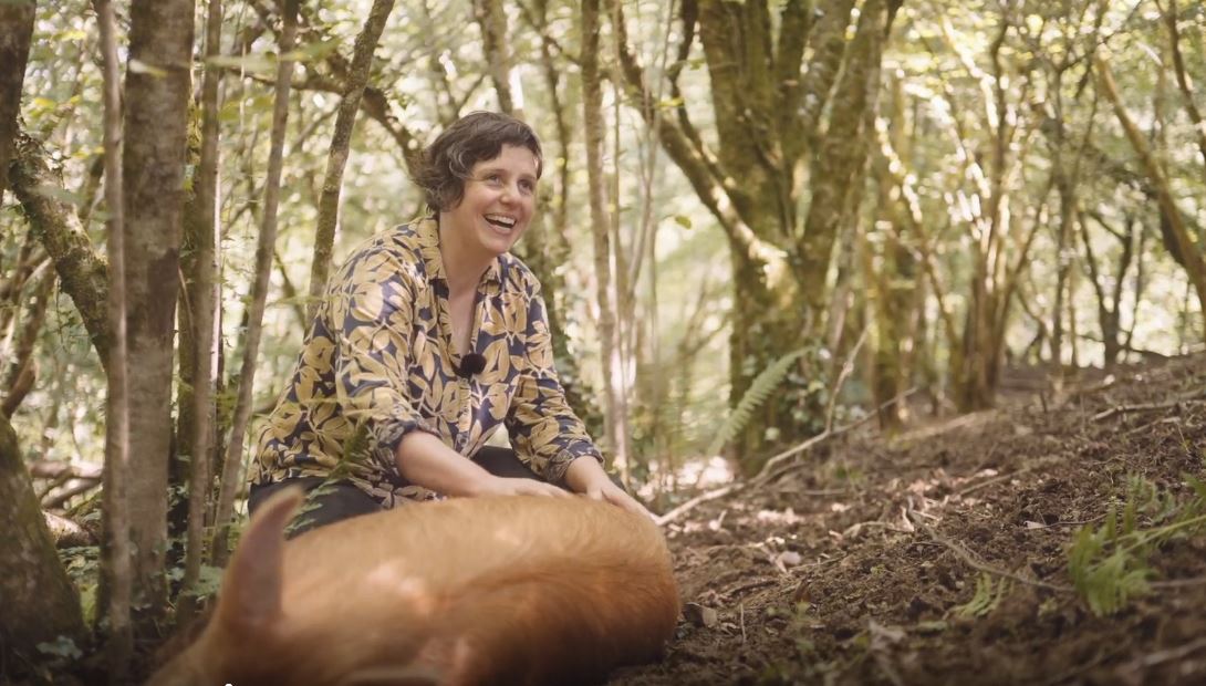 Nurturing land, animals and community in rural Wales : Meet Moch Coch